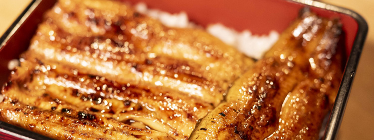 初小川 イメージ写真