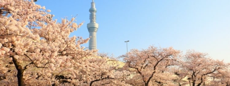 隅田公園 イメージ写真