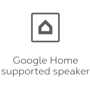 Google Home supported speaker