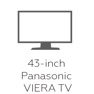 43-inch Panasonic VIERA TV